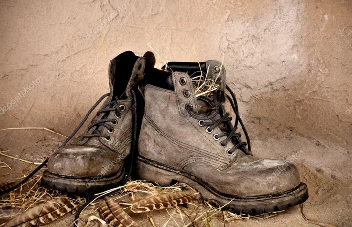 Warum Überhaupt Schuhe Pflegen?