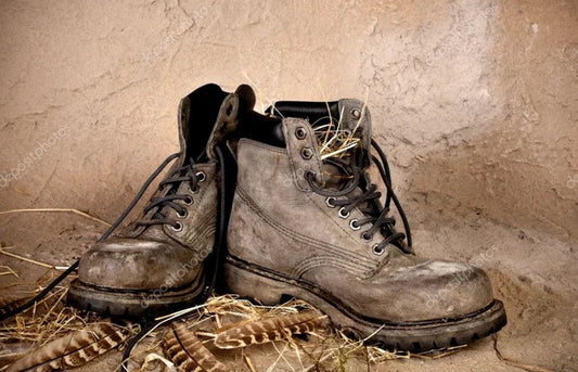 Warum Überhaupt Schuhe Pflegen?